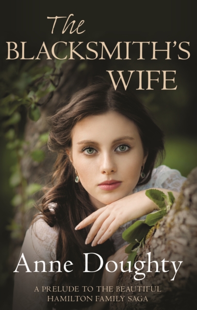 The Blacksmith's Wife, Hardback Book