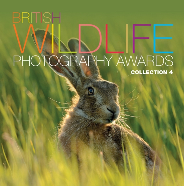 British Wildlife Photography Awards : Collection 4, Hardback Book