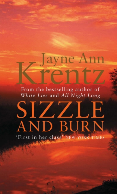 Sizzle And Burn : Number 3 in series, Paperback / softback Book