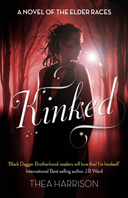 Kinked : Number 6 in series, Paperback / softback Book