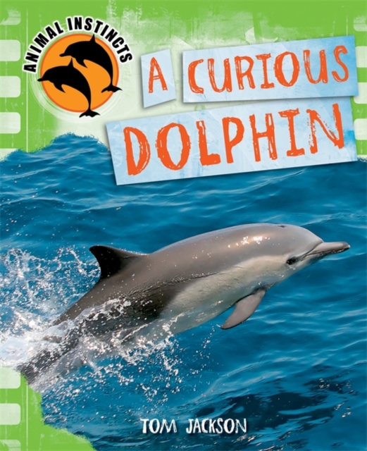 Animal Instincts: A Curious Dolphin, Paperback / softback Book