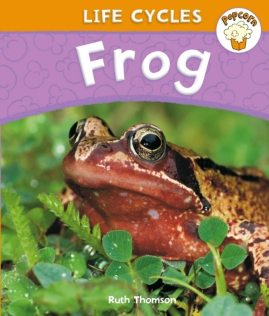 Popcorn: Life Cycles: Frog, Paperback / softback Book
