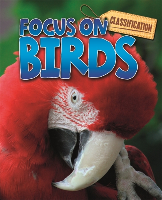 Classification: Focus on: Birds, Paperback / softback Book