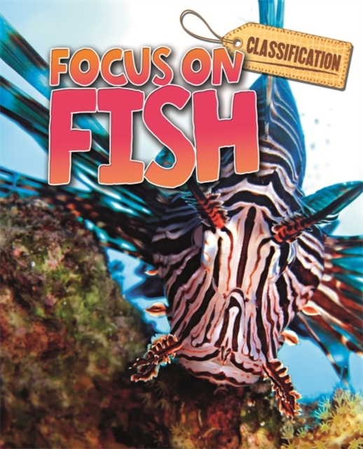 Classification: Focus on: Fish, Paperback / softback Book