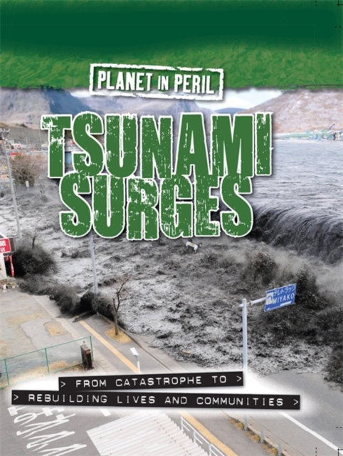 Planet in Peril: Tsunami Surges, Hardback Book