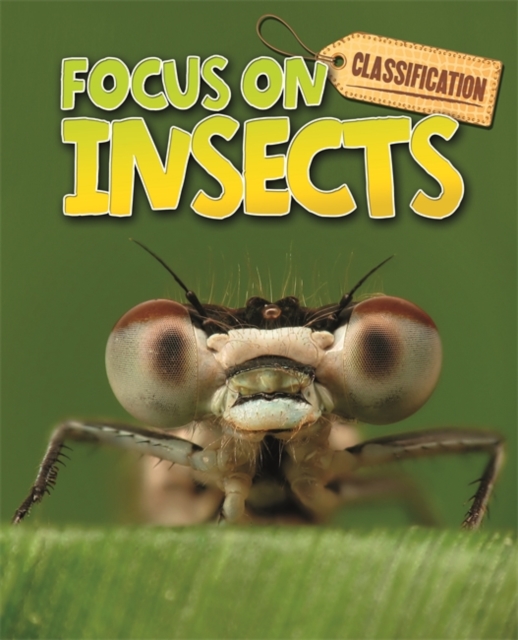 Classification: Focus on: Insects, Paperback / softback Book