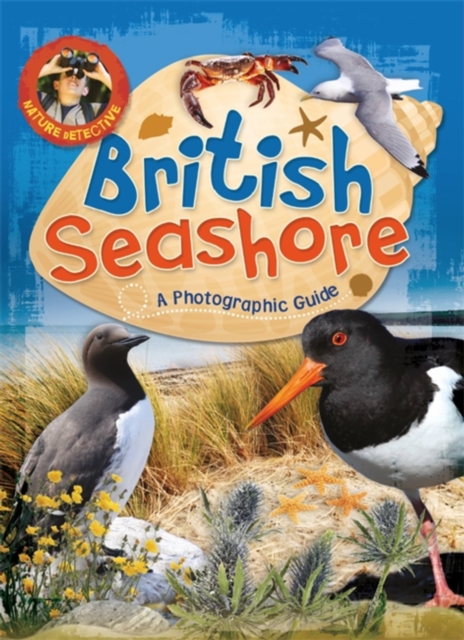 Nature Detective: British Seashore, Paperback / softback Book