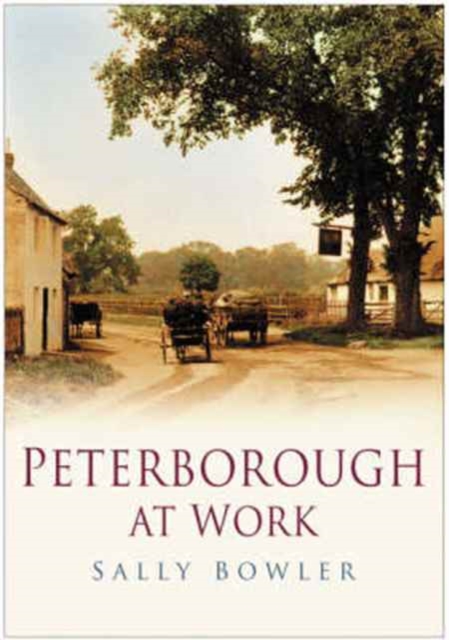Peterborough at Work, Paperback / softback Book