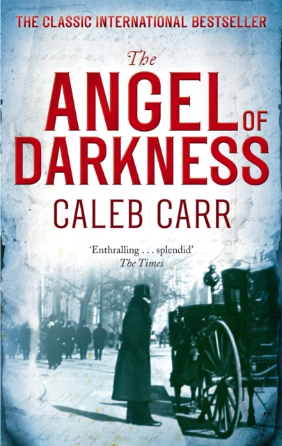 The Angel Of Darkness : Number 2 in series, Paperback / softback Book