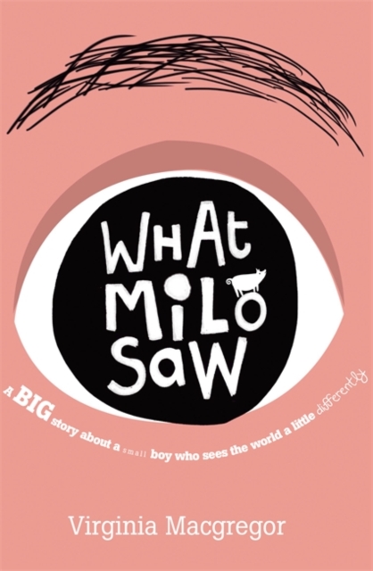 What Milo Saw : He sees the world in a very special way . . ., Hardback Book