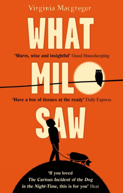 What Milo Saw : He sees the world in a very special way . . ., EPUB eBook