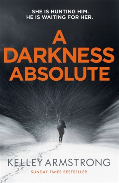 A Darkness Absolute, Hardback Book