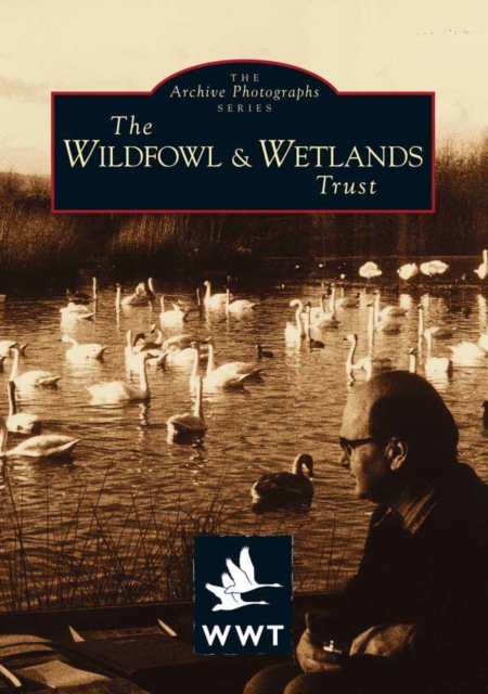 The Wildfowl Wetlands Trust, Slimbridge, Paperback / softback Book