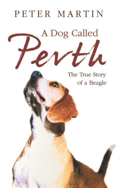A Dog called Perth : The Voyage of a Beagle, Paperback / softback Book