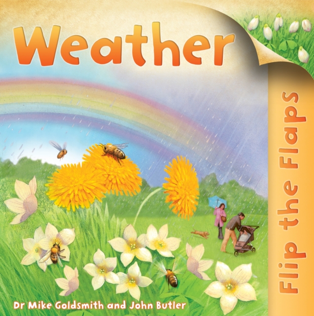 Flip the Flaps: Weather, Paperback Book