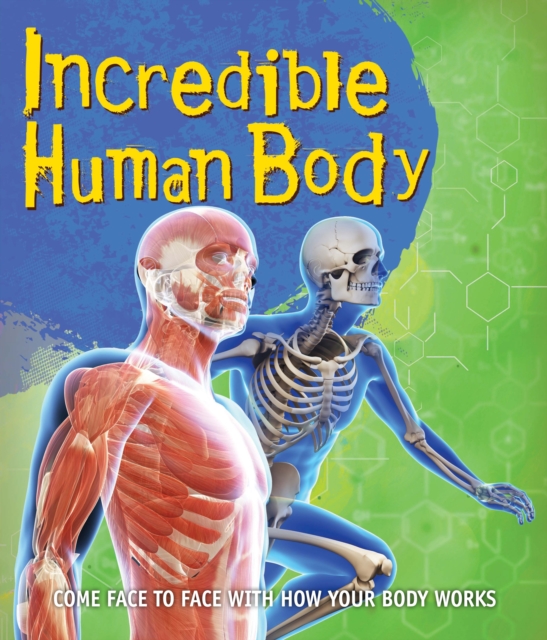 Fast Facts! Incredible Human Body, Paperback / softback Book
