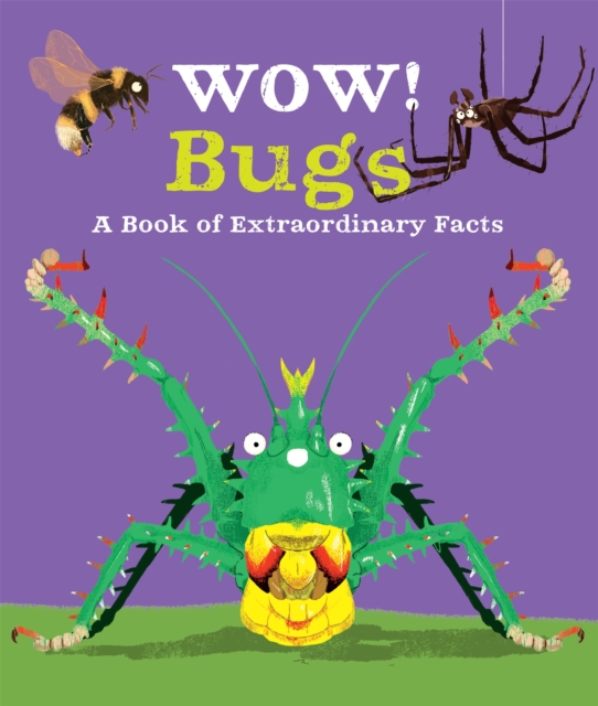 Wow! Bugs, Paperback / softback Book