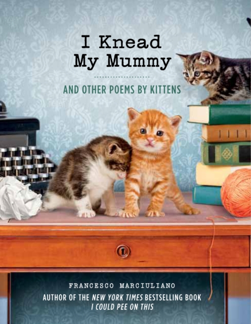 I Knead My Mummy : And Other Poems by Kittens, Hardback Book