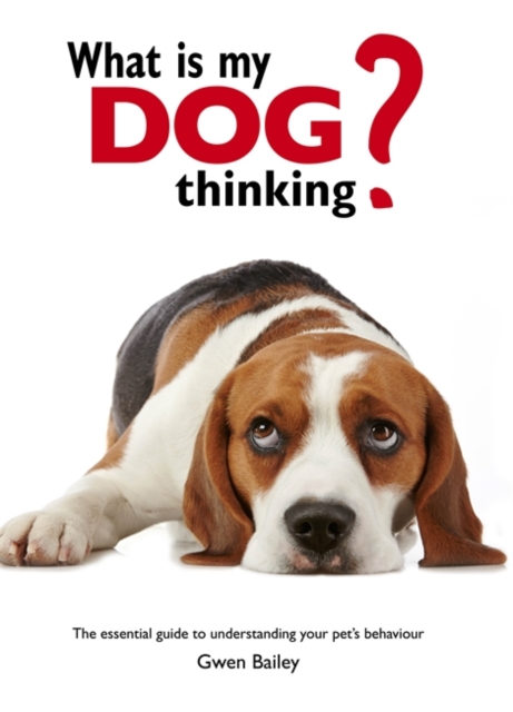 What is My Dog Thinking? : The Essential Guide to Understanding Your Pet, Hardback Book