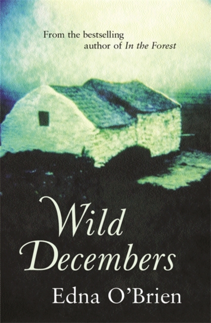 Wild Decembers, Paperback / softback Book