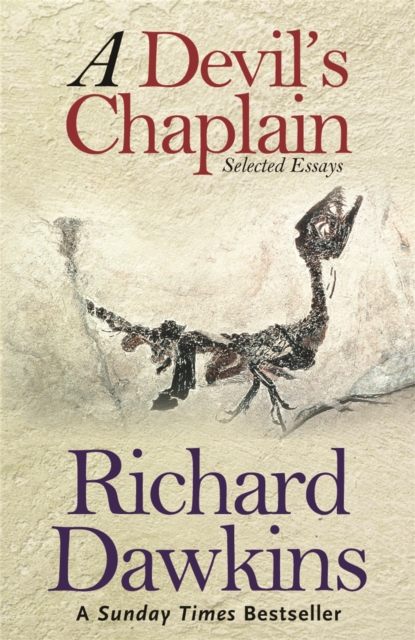 A Devil's Chaplain : Selected Writings, Paperback / softback Book