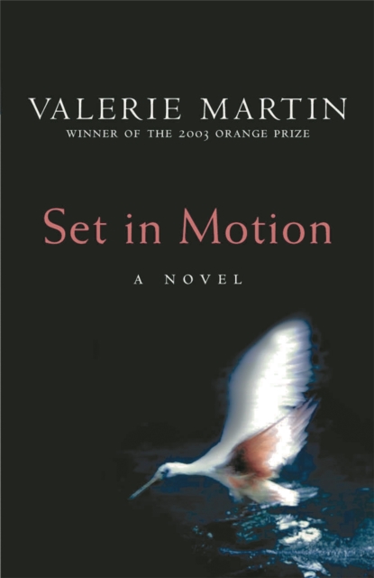 Set In Motion, Paperback / softback Book