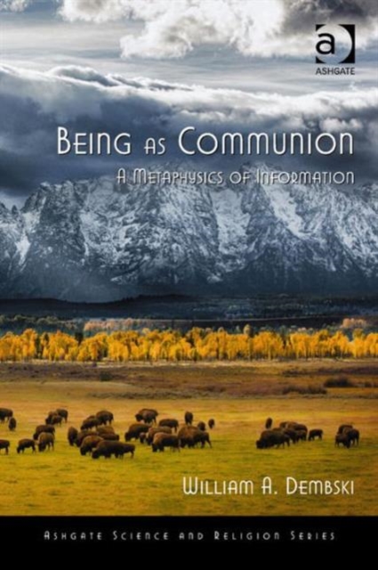 Being as Communion : A Metaphysics of Information, Paperback / softback Book