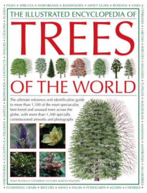 The Illustrated Encyclopedia of Trees of the World : The Ultimate Reference and Identification Guide to More Than 1100 of the Most Spectacular, Best-loved and Unusual Trees Across the Globe, with More, Hardback Book
