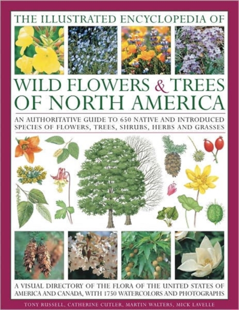 The Illustrated Encyclopedia of Wild Flowers & Trees of North America : an Authoritative Guide to 650 Species of Flowers, Trees, Shrubs, Herbs and Grasses, with 1750 Watercolours, Photographs and Maps, Hardback Book