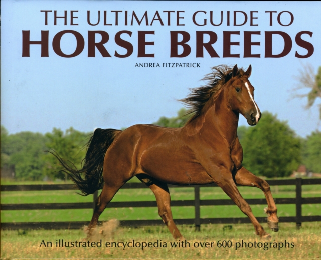 The Ultimate Guide to Horse Breeds : An Illustrated Encyclopedia with Over 600 Photographs, Hardback Book
