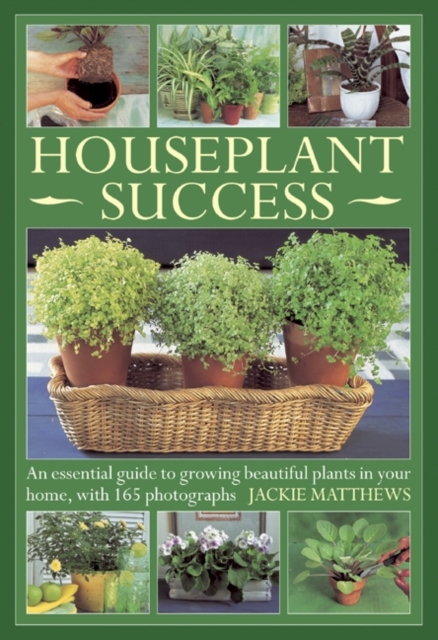 Houseplant Success, Hardback Book