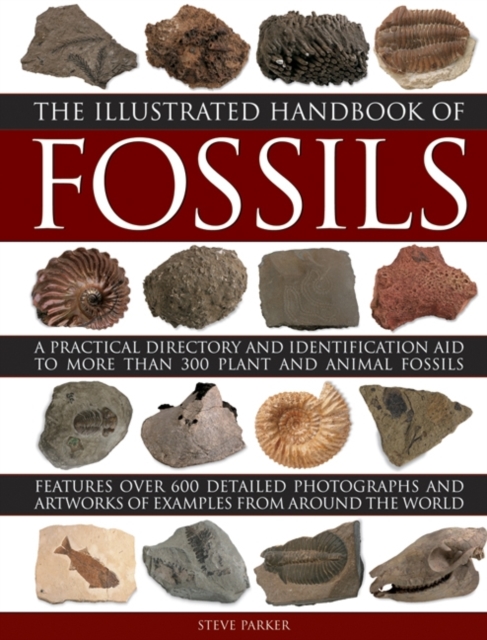 Illustrated Handbook of Fossils, Hardback Book