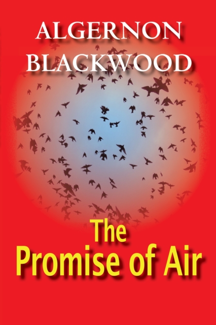 The Promise Of Air, PDF eBook