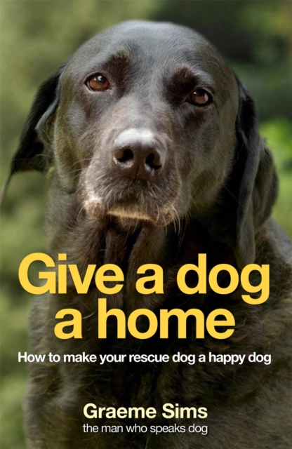 Give a Dog a Home : How to Make Your Rescue Dog a Happy Dog, Paperback / softback Book