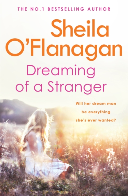 Dreaming of a Stranger : An unputdownable novel of hopes and dreams… and love, Paperback / softback Book