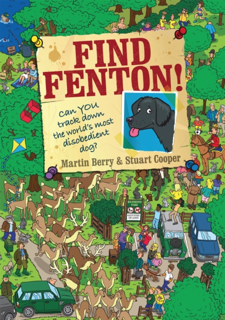 Find Fenton!, Hardback Book