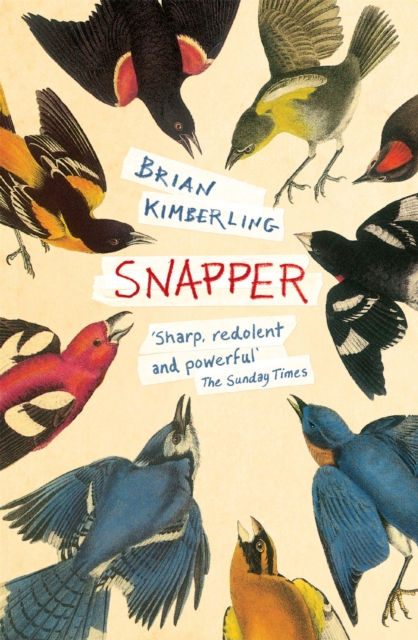 Snapper, Paperback / softback Book