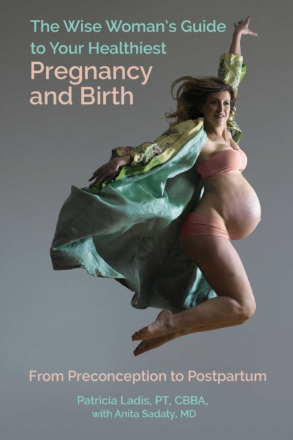 The Wise Woman's Guide to Your Healthiest Pregnancy and Birth : From Preconception to Postpartum, Paperback / softback Book