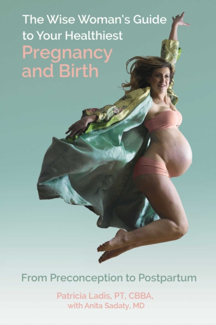 The Wise Woman's Guide to Your Healthiest Pregnancy and Birth : From Preconception to Postpartum, EPUB eBook