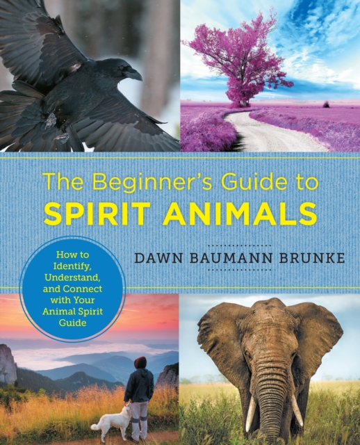 The Beginner's Guide to Spirit Animals : How to Identify, Understand, and Connect with Your Animal Spirit Guide, EPUB eBook