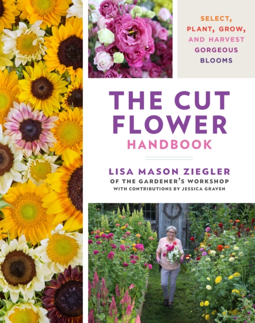 The Cut Flower Handbook : Select, Plant, Grow, and Harvest Gorgeous Blooms, Hardback Book