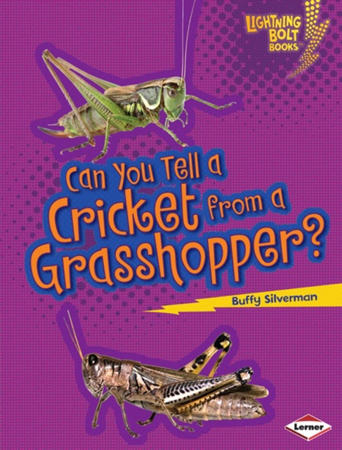 Can You Tell a Cricket from a Grasshopper?, PDF eBook