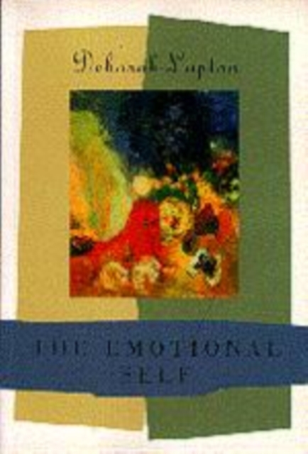 The Emotional Self : A Sociocultural Exploration, Hardback Book