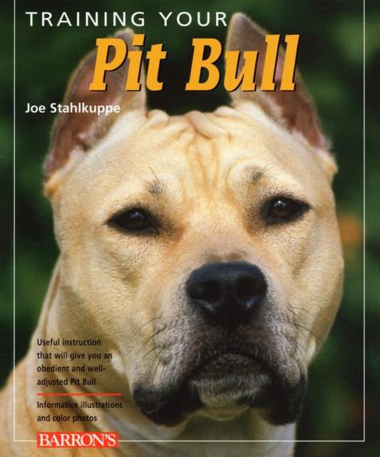 Training Your Pit Bull, Paperback / softback Book