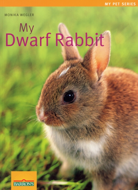 My Dwarf Rabbit, Paperback / softback Book