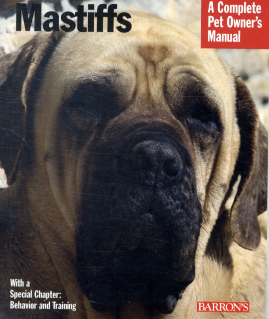 Mastiffs, Paperback / softback Book