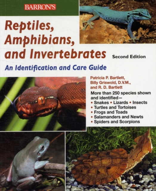 Reptiles, Amphibians and Invertebrates, Paperback / softback Book