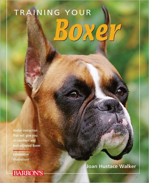 Training Your Boxer, Paperback / softback Book