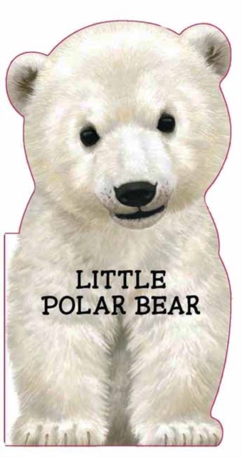Little Polar Bear, Board book Book