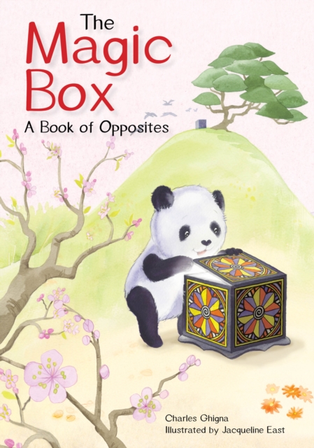 The Magic Box : A Book of Opposites, Hardback Book